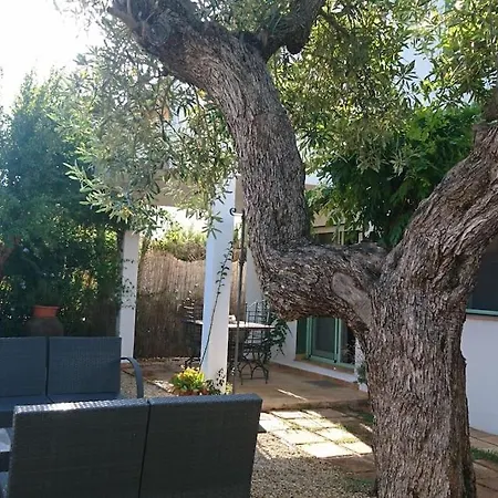 Familiar En La Montana, Con Acceso A Piscina Holiday home
